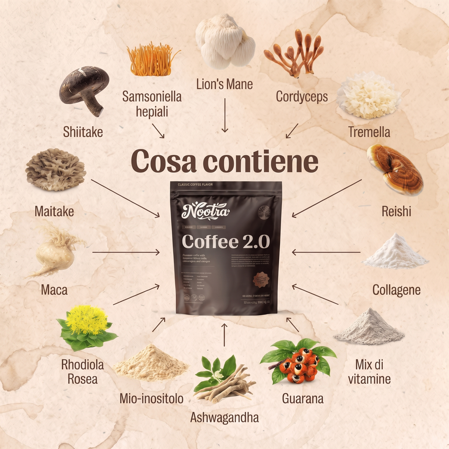 Nootra™ • Coffee 2.0